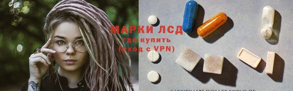 прущие грибы Балабаново