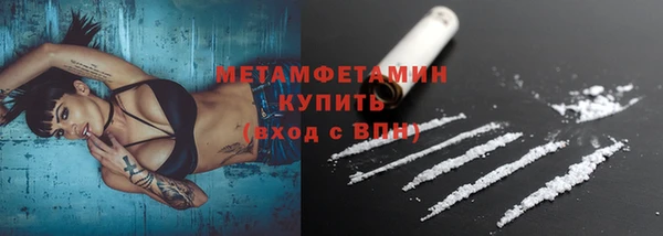 прущие грибы Балабаново