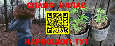 каннабис Аргун