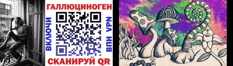 наркошоп  hydra как войти  Псилоцибиновые грибы GOLDEN TEACHER  Дагестанские Огни 