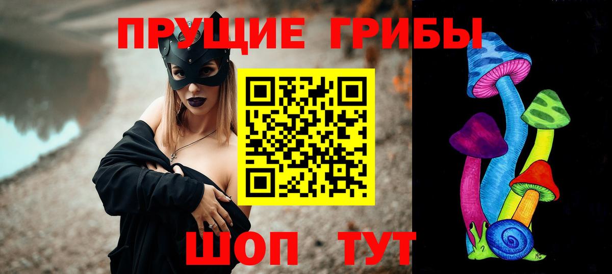 Псилоцибиновые грибы Psilocybe  где купить наркоту  Дагестанские Огни  Галлюциногенные грибы прущие грибы  Вход с VPN 
