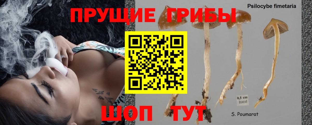 Псилоцибиновые грибы Cubensis  Дагестанские Огни 